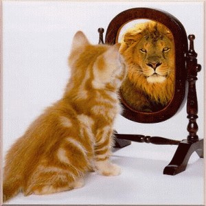 cat-lion_mirror